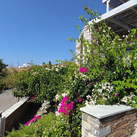 Aeolia Villas Kárisztosz Kültér fotó