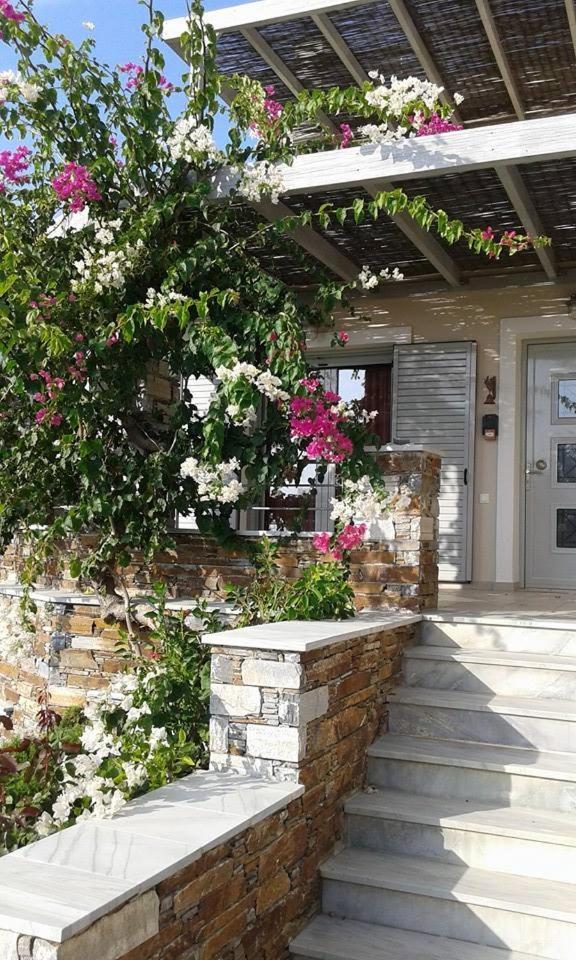 Aeolia Villas Kárisztosz Kültér fotó